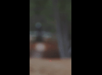 Copa Longabike Licanten 2024 - Rider 8 Rafael Reveco