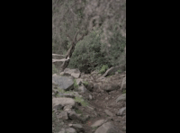 CATEMU TOUR NACIONAL 2024 RIDER 91 CLAUS PLAUT