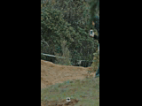 DEACHE SERIES PUCHUNCAVI RIDER 93 EYNARD ENGBER