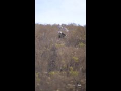PACK VIDEO ENDURO SERIES PICHIDANGUI 3A FECHA EBIKE RIDER 9 Aldo Toro MR Enduro Team