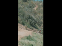BeerFest Las Palmas 2024 -  Rider DH 89
