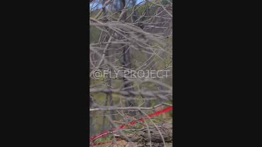 TALCA TOUR NACIONAL DH QUALY  VIDEO RIDER 31