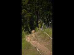 Final Campeonato Nacional DH CARAHUE Rider 10 Felipe Almendras QUALY