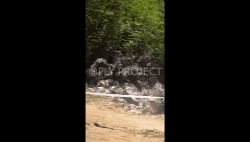 OPEN SHIMANO VIDEO Domingo Qualy RIDER 123 Vicente Mendez