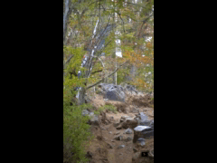 Enduro Series Round 2 Valle las Trancas Ebike Rider 127 Juan Carlos Allende Rogers