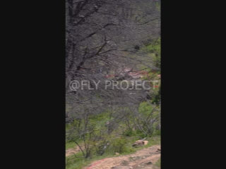 TALCA TOUR NACIONAL DH QUALY  VIDEO RIDER 153 Ignacio Pasten