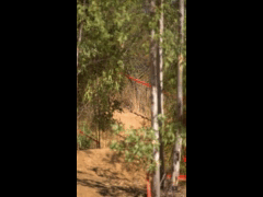 DH Las Cabras La Tinganera Rider 12 ALEJANDRO CAEROLS