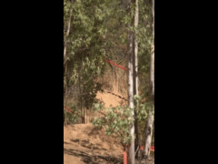 DH Las Cabras La Tinganera Rider 13 CRISTIAN DIAZ