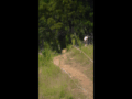 Final Campeonato Nacional DH CARAHUE Rider  13 Zaira Nuñez Qualy