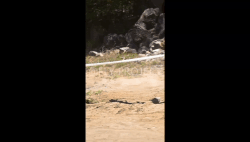 OPEN SHIMANO VIDEO Domingo Qualy RIDER 143 Pedro Muñoz