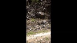 OPEN SHIMANO VIDEO Domingo Qualy RIDER 147 Nicolas Erdmann