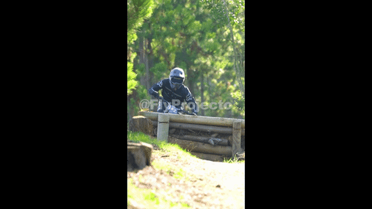 Race Clip Ducks on Wheels Rider #162