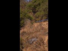 SAUSALITO GRAVITY EXPERIENCE RIDER 165 Victor Torres