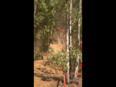 DH Las Cabras La Tinganera Rider 16 LUIS VARGAS