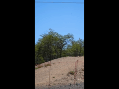 COPA COMMENCAL CUP 2023 RIDER 172 YALAL SANCHEZ