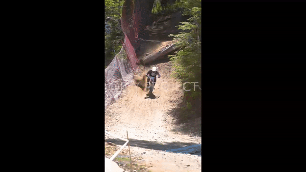 OPEN SHIMANO VIDEO Domingo Qualy RIDER 181 Marcelo Inostroza