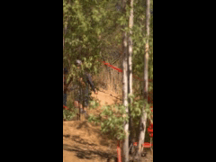 DH Las Cabras La Tinganera Rider 18 TOMAS CORNEJO