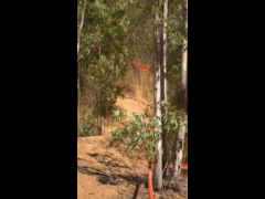 DH Las Cabras La Tinganera Rider 199 NICOLAS SALAZ