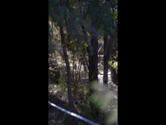 Curico Racing Series 3a Fecha Rider 1 Melciades Jaque