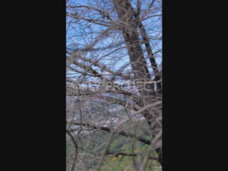 TALCA TOUR NACIONAL DH QUALY  VIDEO RIDER 90 Cristoffer Ariel Fica