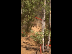 DH Las Cabras La Tinganera Rider 20 DIEGO SAAVEDRA
