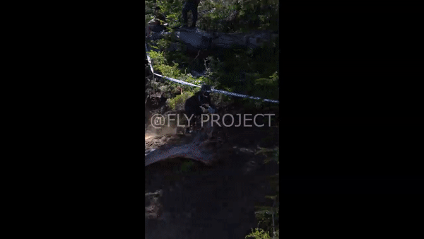 OPEN SHIMANO VIDEO Domingo Qualy RIDER 241 Pia Angel