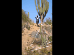 DEACHE SERIES Punitaqui 2023 Rider 243 Antonio Ignacio Ferreira Leon