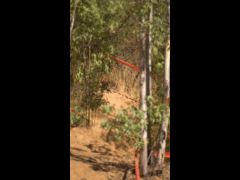 DH Las Cabras La Tinganera Rider 2 VICENTE GANA