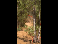 DH Las Cabras La Tinganera Rider 33 DIEGO TOBAR