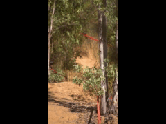 DH Las Cabras La Tinganera Rider 36 NANO LOBOS