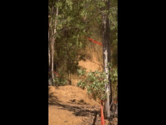 DH Las Cabras La Tinganera Rider 37 ARIEL ASTORGA