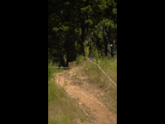 Final Campeonato Nacional DH CARAHUE Rider 38 Eugenio Silvestre FINAL