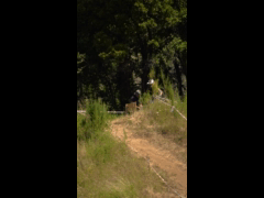 Final Campeonato Nacional DH CARAHUE Rider 39 Daniela Neumann FINAL