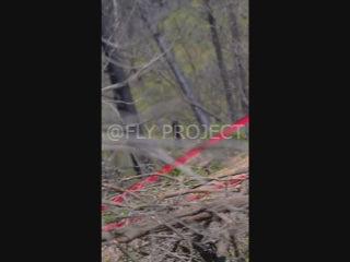 TALCA TOUR NACIONAL DH QUALY  VIDEO RIDER 187 Daniela Neuman