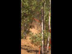 DH Las Cabras La Tinganera Rider 42 PATRICIO SILVA