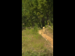Final Campeonato Nacional DH CARAHUE Rider 42 QUALY