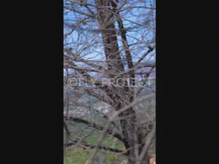 TALCA TOUR NACIONAL DH QUALY  VIDEO RIDER 59 Camilo Madariaga