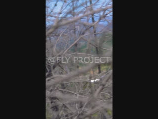 TALCA TOUR NACIONAL DH QUALY  VIDEO RIDER 141 Juan Gonzalez