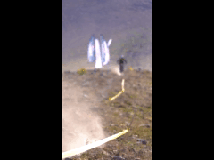 ENDURO SERIES LA PARVA Round 1 Rider 55 Ebike Alejandro Espinoza