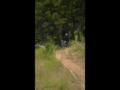 Final Campeonato Nacional DH CARAHUE Rider 56 Javiera Arias Qualy