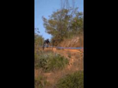 SAUSALITO GRAVITY EXPERIENCE RIDER 56 Matias Campos