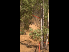 DH Las Cabras La Tinganera Rider 5 CAMILO MADRIAGA