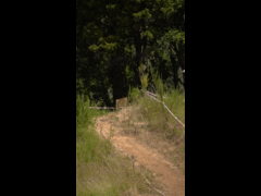 Final Campeonato Nacional DH CARAHUE Rider 60 Marco Antonio Aburto FINAL