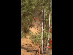 DH Las Cabras La Tinganera Rider 60 NATALIA VALDES