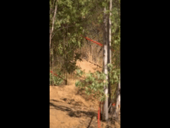 DH Las Cabras La Tinganera Rider 6 MATIAS GOMEZ