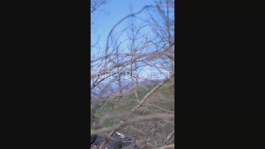 TALCA TOUR NACIONAL DH QUALY  VIDEO RIDER 77 Camilo Miranda Herrera
