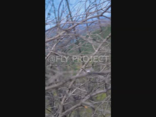 TALCA TOUR NACIONAL DH QUALY  VIDEO RIDER 80