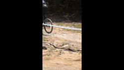 OPEN SHIMANO VIDEO Domingo Qualy RIDER 82 Jose Sotomayor