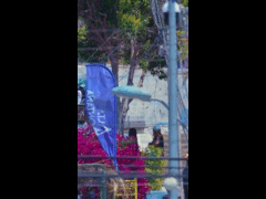 DH URBANO PARTE ALTA COQUIMBO FINAL RIDER 86 AGUSTIN BURDILES