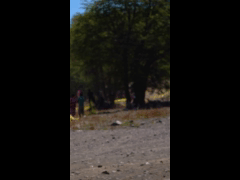 COPA COMMENCAL CUP 2023 RIDER 86 VICTOR DE VOS